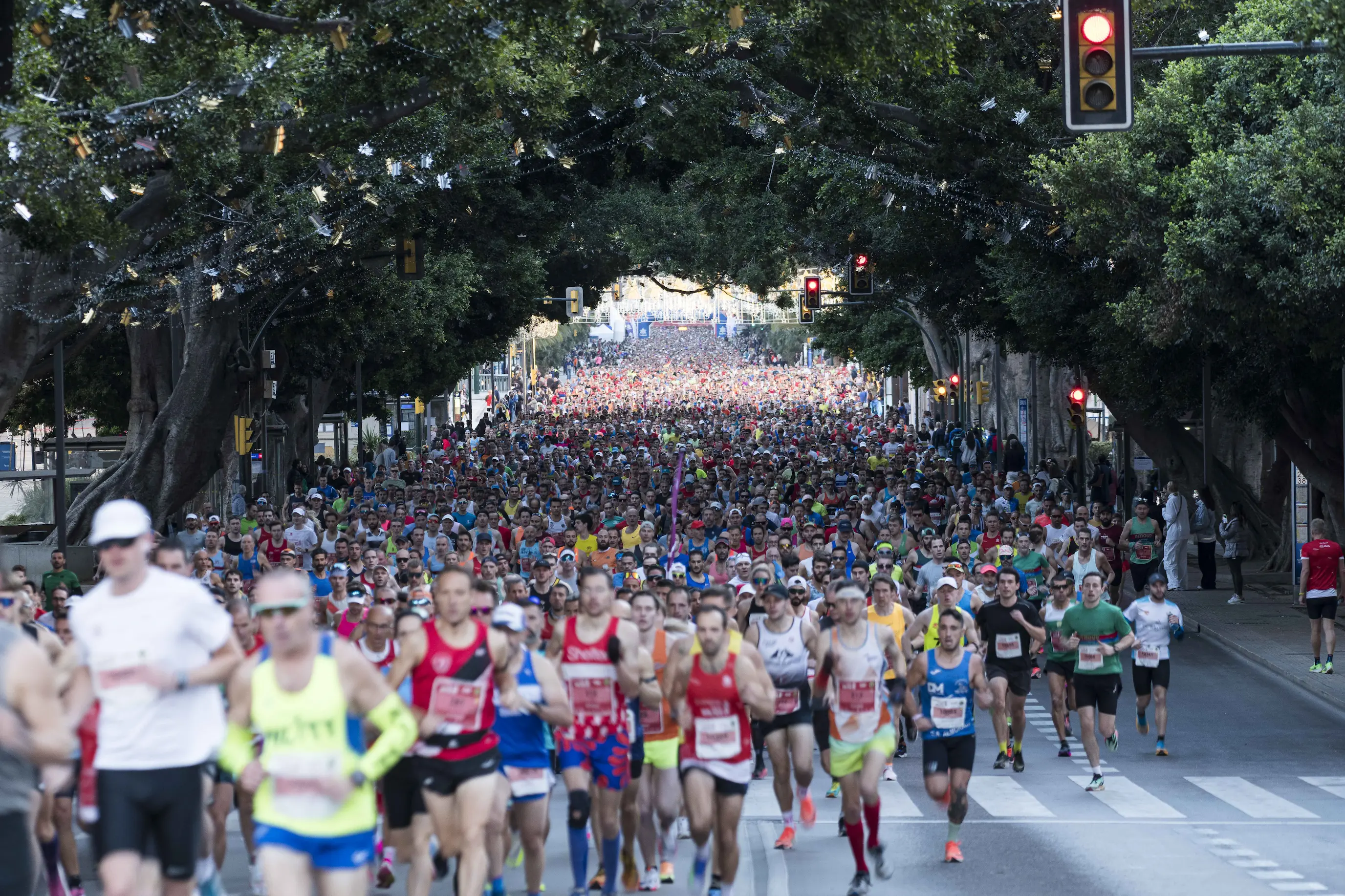 Imagen principal para la Maratón de Málaga